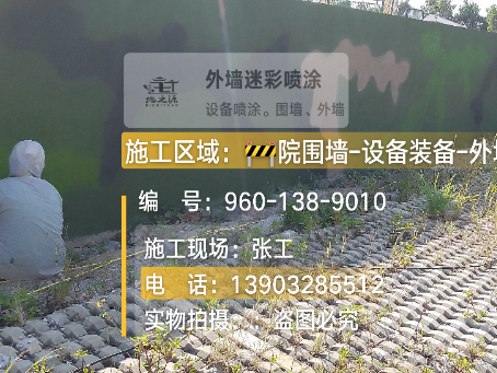 定安外墙迷彩漆材料价约 45-60 元 /k