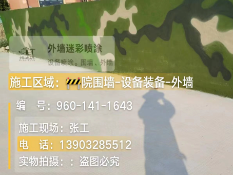定安 迷彩漆喷涂价格（按平方米计费）